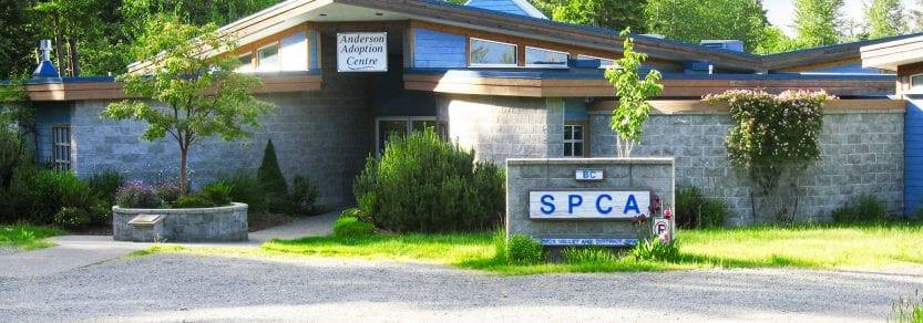 BCSPCA - Comox Valley
