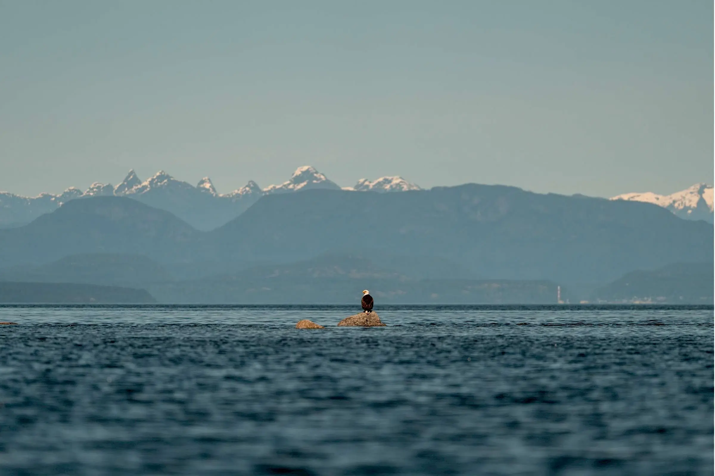 Experience Comox Valley