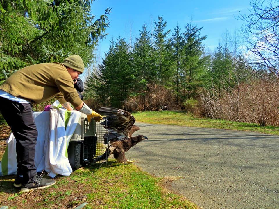 MARS Wildlife Rescue