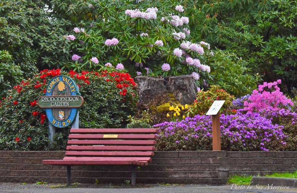 North Island Rhododendron Society